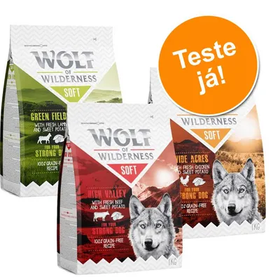 Três sacos de ração Wolf of Wilderness Soft, variedades Green Fields, High Valley e Wide Acres, cada um com 1 kg. Texto visível: 'Teste já!'.