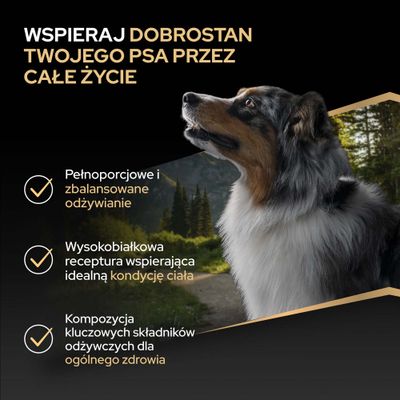 Pełnowartościowe i zbilansowane żywienie, bogata w białko receptura dla idealnej kondycji ciała, kompozycja ważnych składników odżywczych dla ogólnego zdrowia.