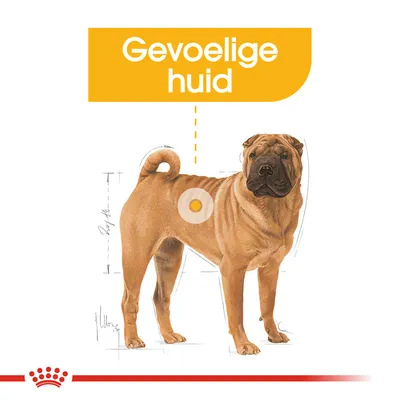 Illustratie van een hond met tekst 'Gevoelige huid' en markering op de flank, benadrukt aandacht voor huidgevoeligheid bij honden.