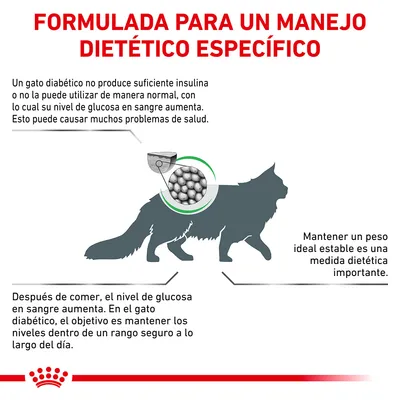 Formulada para un manejo dietético específico. Explicación sobre la diabetes en gatos, importancia de mantener peso ideal y controlar glucosa tras las comidas. Imagen de silueta de gato y croquetas.