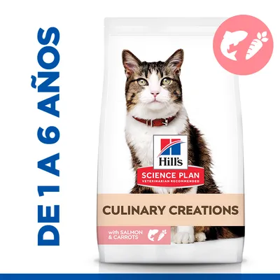 Hill's Science Plan Culinary Creations para gatos, con salmón y zanahorias. Texto visible: de 1 a 6 años, with salmon & carrots.
