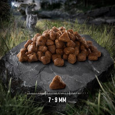 Kattenbrokjes op steen met maatindicatie: 7–9 mm. Eén brokje apart zichtbaar voor groottevergelijking.