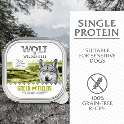 Single protein, suitable for sensitive dogs, 100% grain-free recipe. Product shown: Green Fields with fresh lamb, wild berries, roots and wild herbs, 300g.