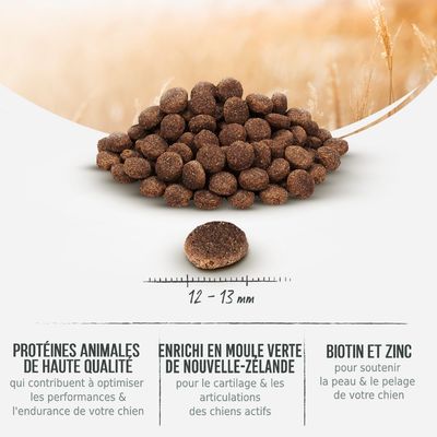 Croquettes rondes, diamètre 12–13 mm. Texte visible : protéines animales de haute qualité, enrichi en moule verte de Nouvelle-Zélande, biotine et zinc pour la peau et le pelage du chien.