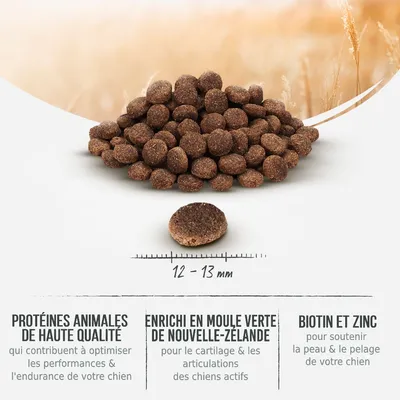 Croquettes rondes, diamètre 12–13 mm. Texte visible : protéines animales de haute qualité, enrichi en moule verte de Nouvelle-Zélande, biotine et zinc pour la peau et le pelage du chien.
