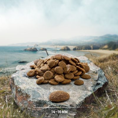 Croquetas de pienso marrón sobre una roca, con escala visible que indica tamaño de 14–16 mm.