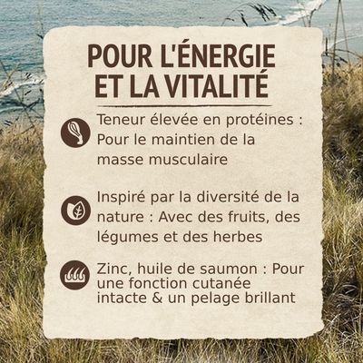 POUR L'ÉNERGIE ET LA VITALITÉ : Teneur élevée en protéines pour la masse musculaire, fruits/légumes/herbes, zinc et huile de saumon pour la peau et le pelage. Texte en français.
