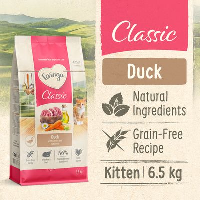 Feringa Kitten Classic Πάπια