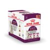 Royal Canin Sensory Smell Taste Feel Multipack in Soße Sparpaket: 48 x 85 g