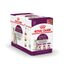 Royal Canin Sensory Smell Taste Feel Multipack in Soße Sparpaket: 48 x 85 g