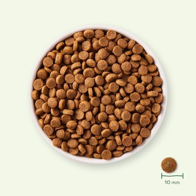 Yarrah Bio Hondenvoer Puppy