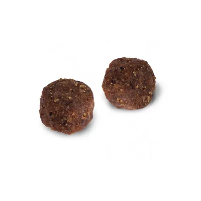 Deux bouchées rondes de nourriture pour animaux, texture brune et granuleuse, sans emballage ni marque visible.