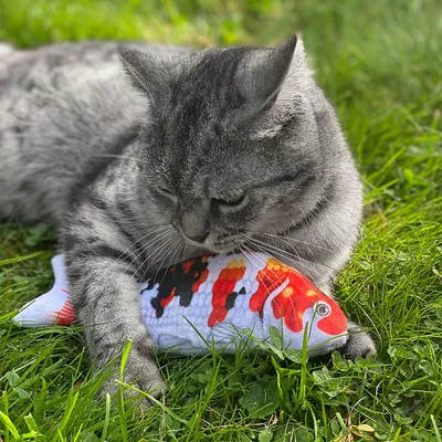 Gato gris tumbado sobre césped jugando con un juguete de tela en forma de pez de colores.
