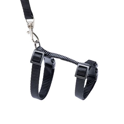 Karlie macskahám készlet kiscicáknak