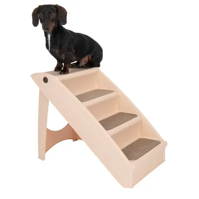Chien noir assis en haut d’un escalier pour animaux à 4 marches, structure en plastique beige avec revêtement antidérapant sur chaque marche, fond blanc.
