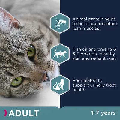 Animal protein supports lean muscles, fish oil and omega 6 and 3 promote healthy skin and coat, formulated for urinary tract health. For adults aged 1 to 7 years.