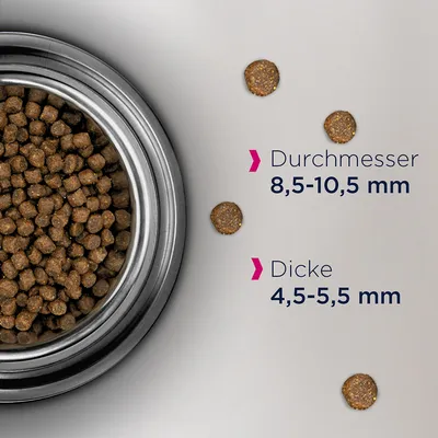 Kuivaruoka, halkaisija 8,5–10,5 mm ja paksuus 4,5–5,5 mm. Lähikuva ruokapaloista kulhossa.