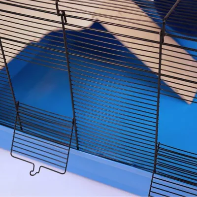 Detailansicht eines Käfigs mit schwarzen Metall-Gitterwänden und einer blauen Kunststoffbasis. Im Hintergrund ist eine Holzrampe sichtbar.