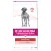 Eukanuba VETERINARY DIETS  Adult Intestinal Sparpaket: 2 x 12 kg