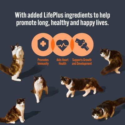 LifePlus ingredients promote immunity, aid heart health, and support growth and development for long, healthy, happy lives. Image shows icons and multiple cats.