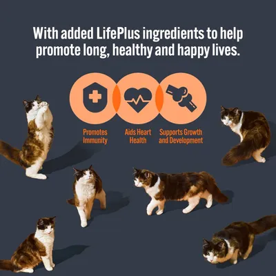 LifePlus ingredients promote immunity, aid heart health, and support growth and development for long, healthy, happy lives. Image shows icons and multiple cats.