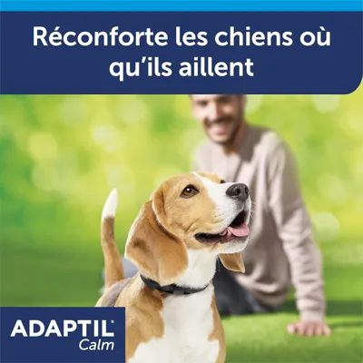 Texte : Réconforte les chiens où qu’ils aillent. ADAPTIL Calm. Chien portant un collier, personne assise en arrière-plan sur fond vert flou.