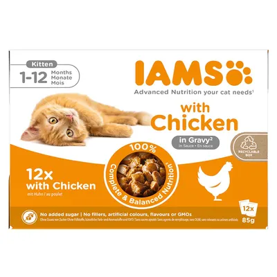 IAMS Delights Kitten, Kylling i sovs - 24 x 85 g