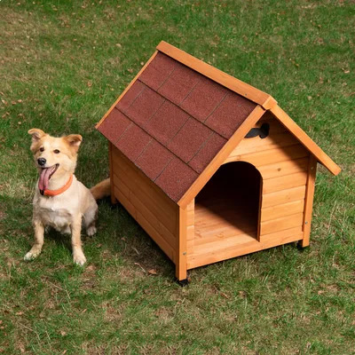 Cuccia in legno per cani con tetto a scandole rosso, ingresso rettangolare e piedi rialzati su prato verde.