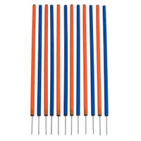 Agility Fun & Sport Slalom - Set