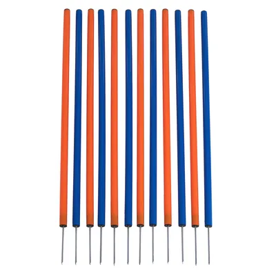 Agility Fun & Sport Slalom - Set