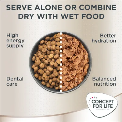Immagine con ciotola divisa tra crocchette e cibo umido, testo: 'Serve alone or combine dry with wet food', 'High energy supply', 'Dental care', 'Better hydration', 'Balanced nutrition', Concept for Life.