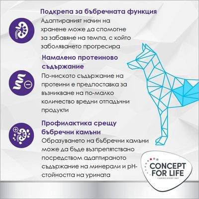 CONCEPT FOR LIFE: Подкрепа на бъбречната функция, намалено съдържание на протеини, превенция срещу бъбречни камъни. Текст на български с графика на куче.