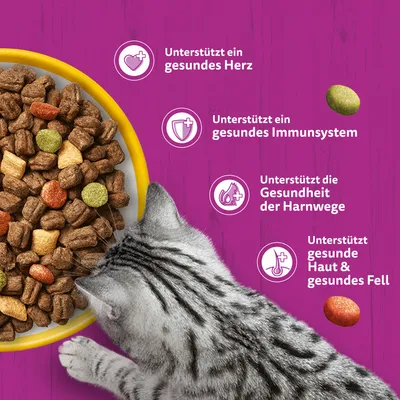 Whiskas Senior 7+ Katze Trockenfutter mit Huhn - 2 x 800 g