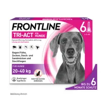 Frontline® TRI-ACT Hunde L (20 - 40 kg) - 6 Pipetten x 4 ml