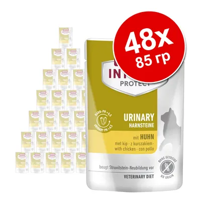 Animonda Integra Protect Urinary Harnsteine с курицей, 48×85 г. Видны надписи: без зерна, urinary pH <4,5, veterinary diet.