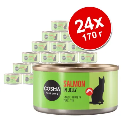 24 банки по 170 г Cosma Pure Love Salmon in Jelly, Single Protein Pure Fish. Зеленая упаковка с силуэтом кошки и надписями на английском.