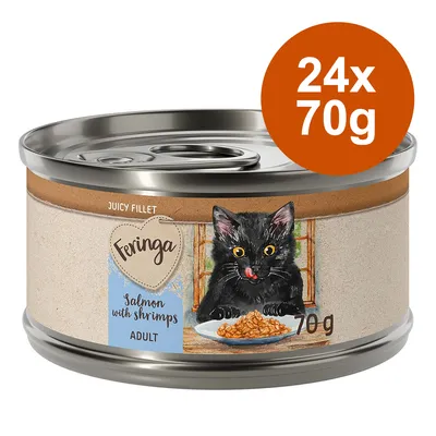 Feringa Juicy Fillet, Lachs mit Garnelen, Adult, 70g Dose. Verpackung zeigt schwarzen Katzenkopf und Portion Futter. Hinweis: 24x70g im orangefarbenen Kreis.