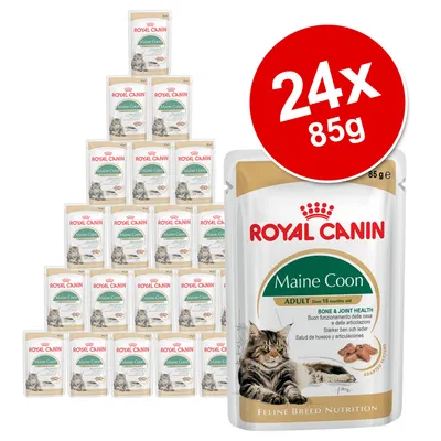 Royal Canin Maine Coon Adult wet cat food, 24 x 85g pouches shown. Large red circle with white text: 24x 85g. Visible packaging features a Maine Coon cat image and product details.
