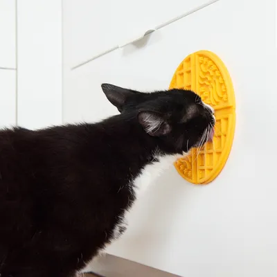 Schwarze Katze leckt an gelber, strukturierter Matte, die an einem weissen Schrank befestigt ist.