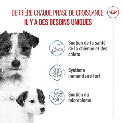 Graphique avec trois points : soutien de la santé de la chienne et des chiots, système immunitaire fort, soutien du microbiome. Texte français sur les besoins uniques.