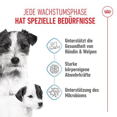 Royal Canin Mini Starter Mother & Babydog
