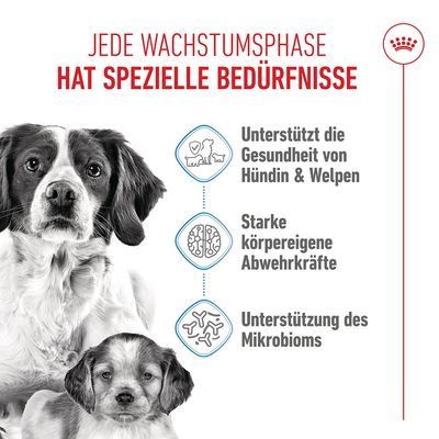 Royal Canin Medium Starter Mother & Babydog