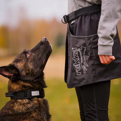 Rukka träningsförkläde med fickor, buren av person. Hund med Rukka-halsband tittar upp på personen.