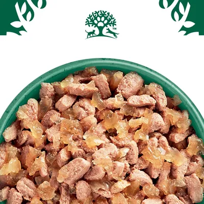 Chunks of wet pet food in jelly served in a green bowl, shown close up to display texture and consistency.