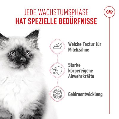 Royal Canin Kitten Mousse - 12 x 85 g