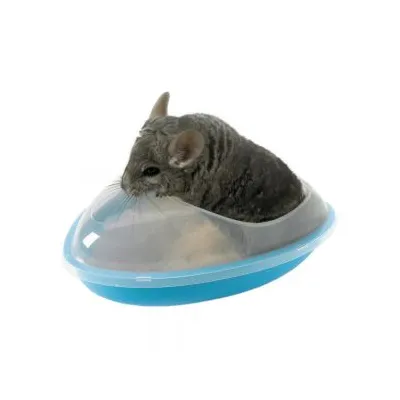 Cincillà grigio all'interno di un contenitore ovale in plastica trasparente e blu, con coperchio parziale. Nessun marchio visibile.