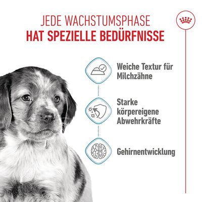 Royal Canin Medium Puppy in Sosse - Sparpaket: 40 x 140 g