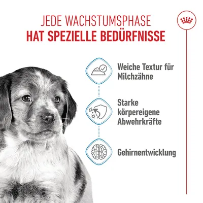 Royal Canin Medium Puppy in Sosse - 10 x 140 g