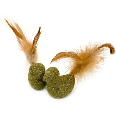 Aumüller Silver Vine Birds Dental Toy Set - Saver Pack: 2 x 2 Toys