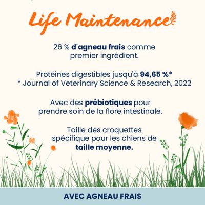 Almo Nature Adult Medium, agneau & riz